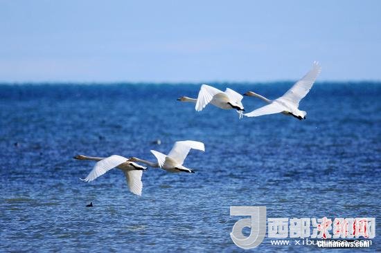 點擊進(jìn)入下一頁