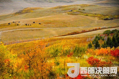 錫林郭勒草原國家級(jí)自然保護(hù)區(qū)。吳勇攝
