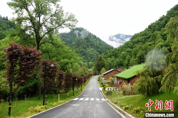 九寨溝熊貓園外景?！【耪瘻峡h委宣傳部提供 攝
